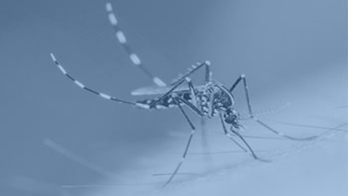 Zika Awareness Online Training Course